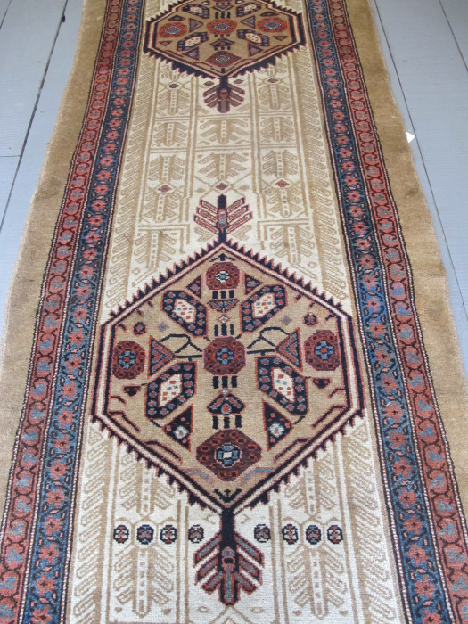 Striking Sarab Runner