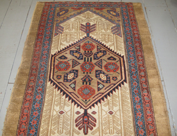 Striking Sarab Runner