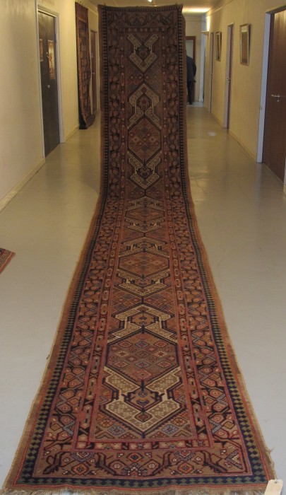 Very Long Sarab  Runner