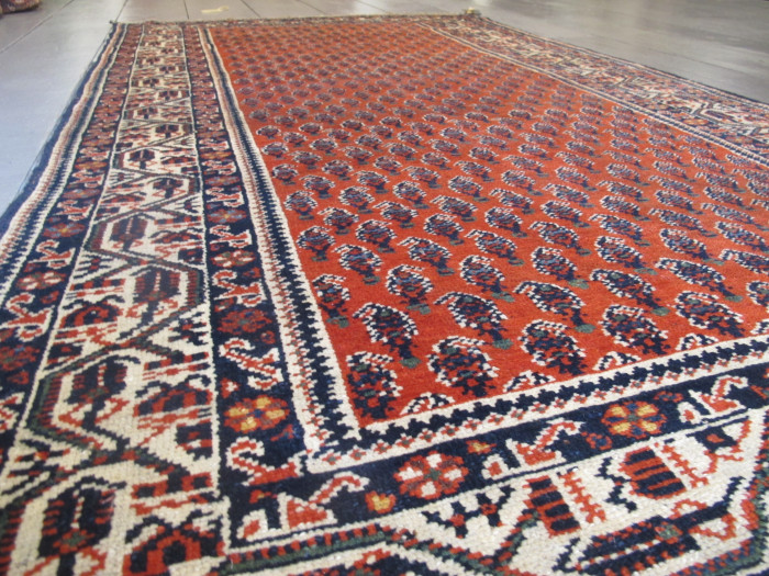 Serabend Rug