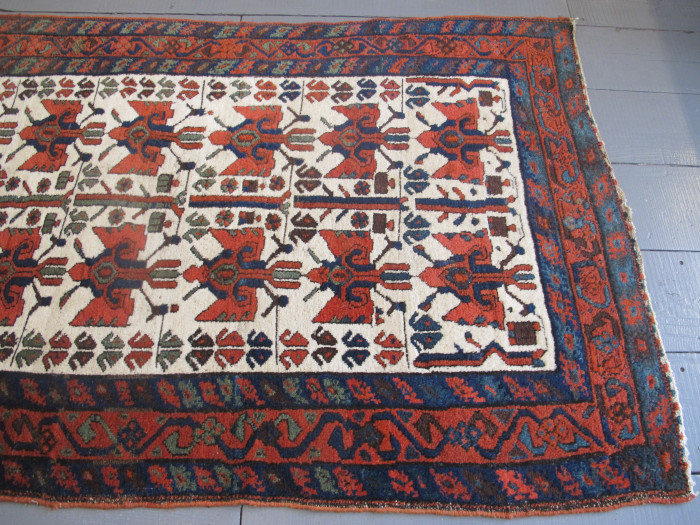 Kolyai Rug