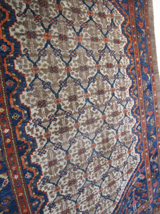 Kolyai Rug