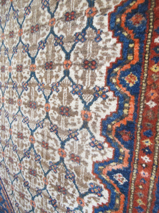 Kolyai Rug