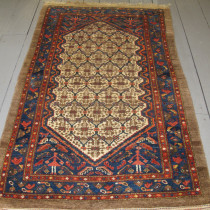 Image of Kolyai Rug